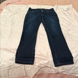 7 For All Mankind Women's Deep Indigo Straight Leg Jeans